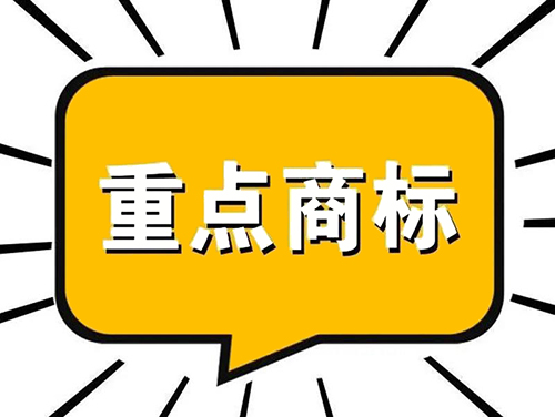 广东省重点商标保护名录