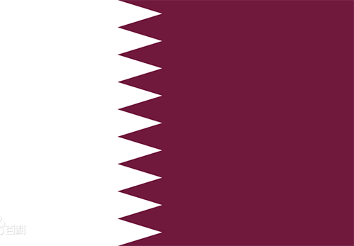 卡塔尔专利申请