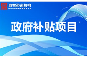 关于深圳市大鹏新区规上企业资助项目申报指南，最高奖励500万