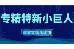 2022年广东省专精特新“小巨人”企业奖补资金申报指南