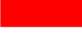 印尼外观专利申请指南