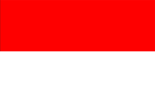印尼外观专利申请