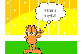 进军国际市场时，注册国际商标需要注意什么？