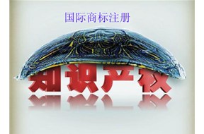 国际商标注册哪家好？？以及国际商标注册所有知识点！！【鼎智知识产权】