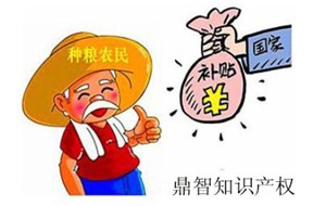 申请农业政府扶持资金，鼎智有妙招！！