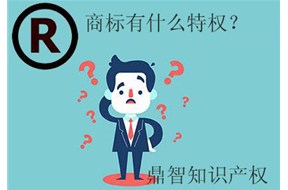 国际商标注册成功后，可享有8中特权！
