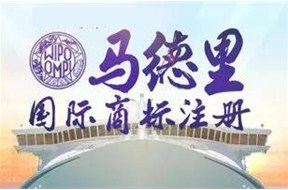 ​国际商标注册助力企业“出海”
