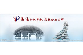 深圳市龙华新区知识产权、品牌、标准化