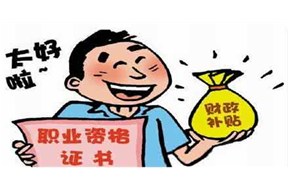 申请政府补贴项目需要做哪些？？？