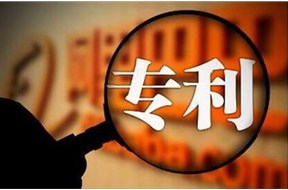 惠州市 专利申报 各区（县）的资金补助