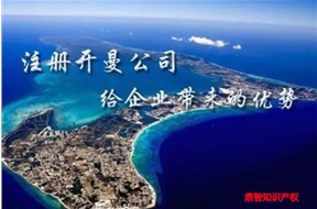 开曼公司注册