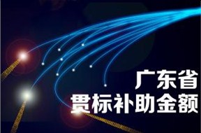 ​ 广东省知识产权贯标补贴政策