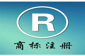 注册商标的无效宣告一般有哪几种？