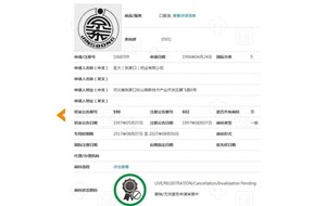 究竟是什么原因让京东对“京东大药房”商标无可奈何