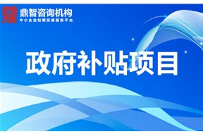 2020年南山区留学归国人员创业资助项目申报指南，最高资助100万