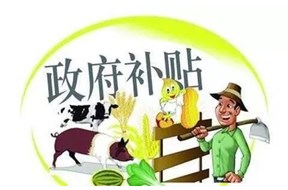 2020年光明区小升规企业培育资助项目