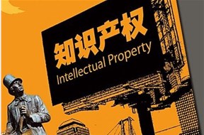 2020年深圳龙岗区知识产权创造激励政策详情