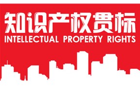 2020年深圳龙华区知识产权贯标资助项目申报指南