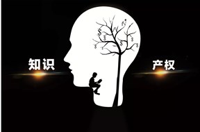 知识产权都有什么特点？