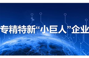 2022年专精特新小巨人申报条件是什么？
