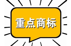 2022年广东省重点商标保护名录申报指南
