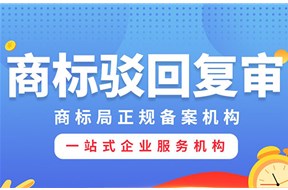 商标驳回分析服务