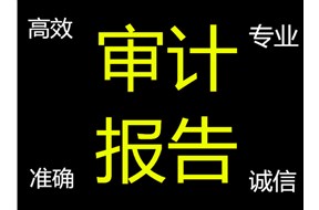 高新审计是什么意思？