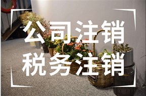 公司税务注销了还需要年报吗？