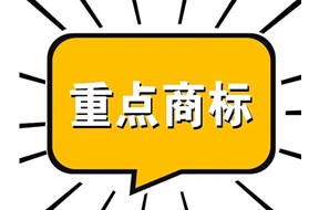 纳入广东省重点商标保护名录的好处有哪些？