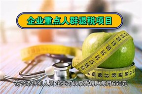 2025年河南重点人群退税补贴申报指南