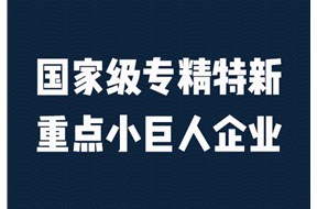 2025年深圳市专精特新重点小巨人企业申报指南
