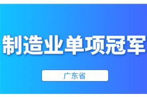 2024年广东省制造业单项冠军企业培育遴选申报指南